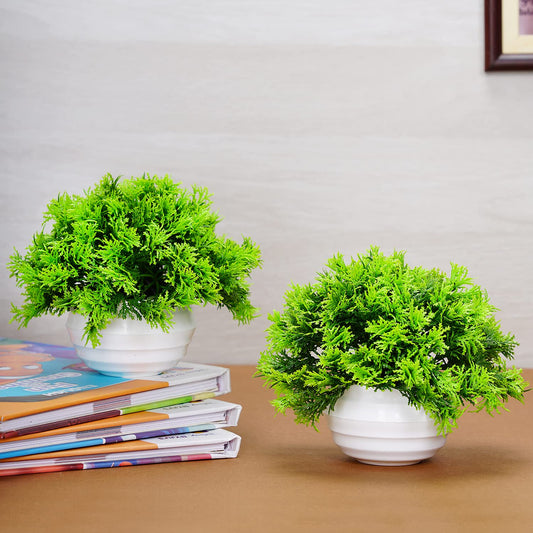 Dekorly Artificial Plant Faux Plants for Home Office Bedroom Livingroom Décor